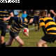 image 5 of 53